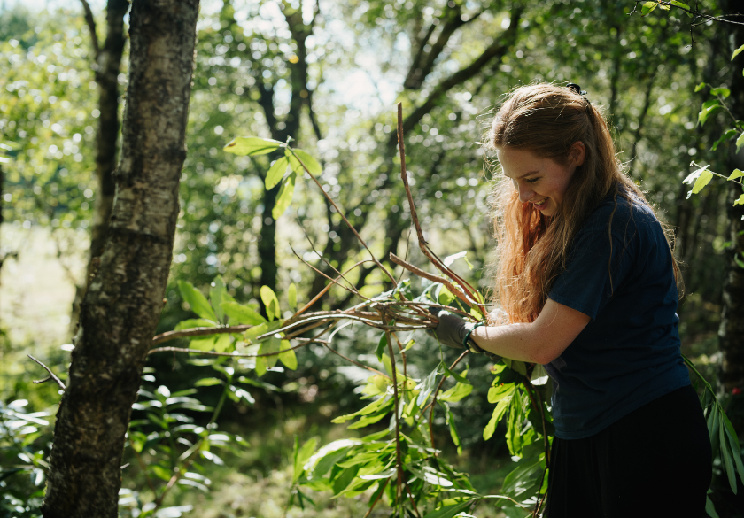 TCV Volunteer 