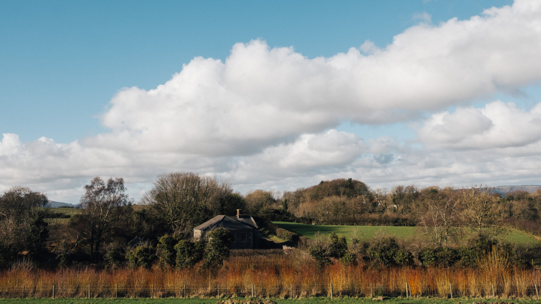 Country landscape