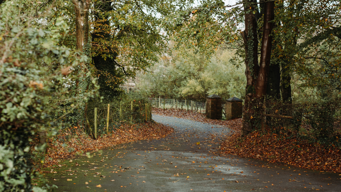 Autumn at Ulster Folk Museum. 