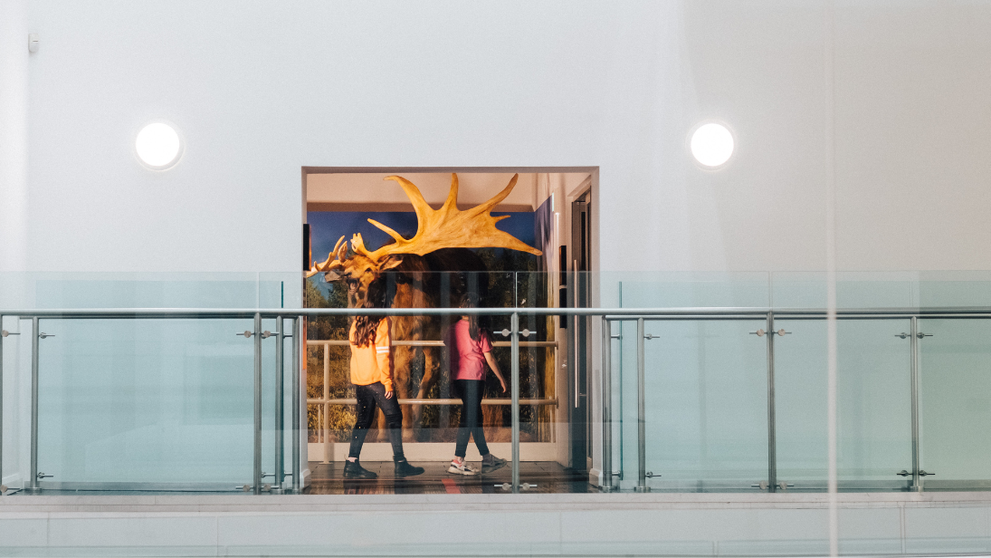 Two girls exploring the different floors of Ulster Museum. 