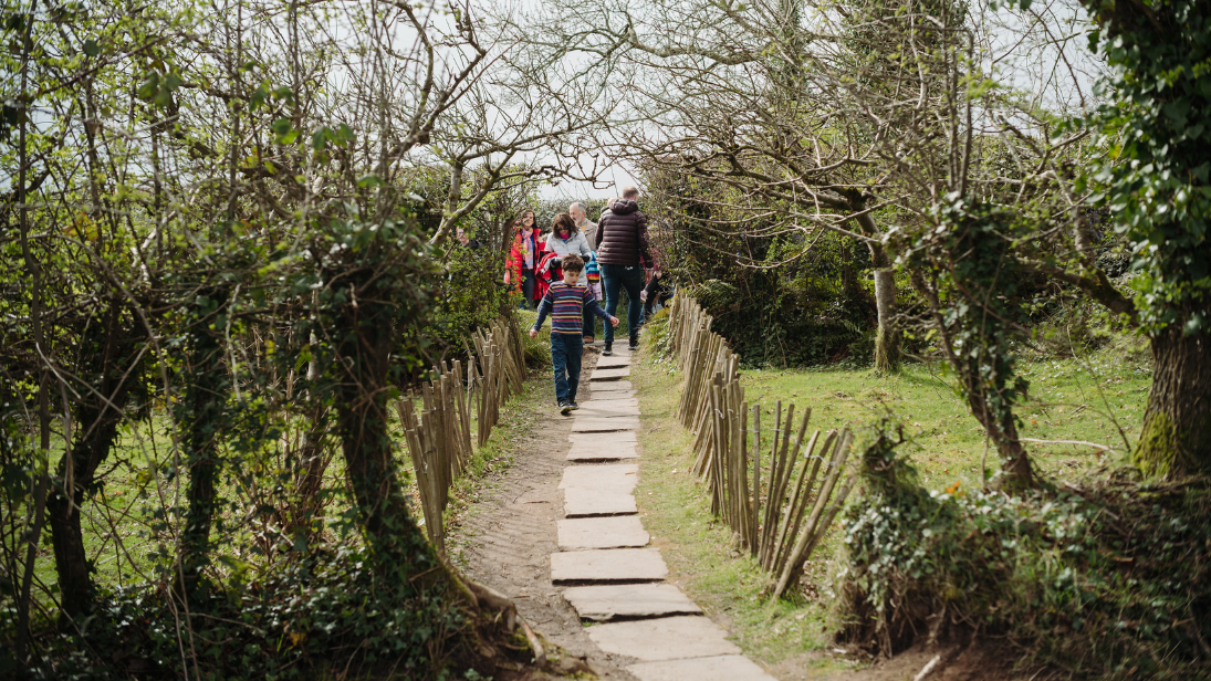 A family exploring the tree nursery.