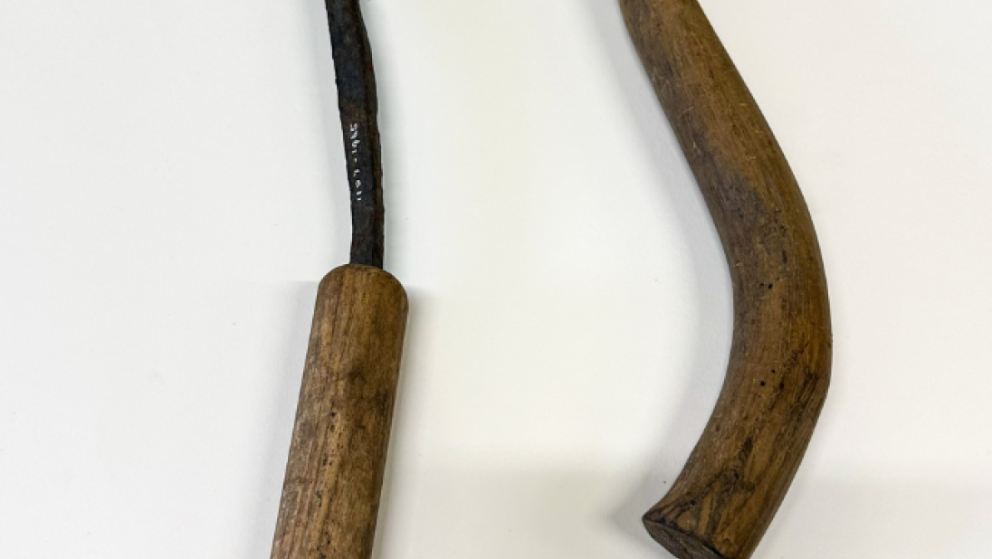 Two thatching forks lie on their sides. The handle of one is short and straight, while they other is long and curved.