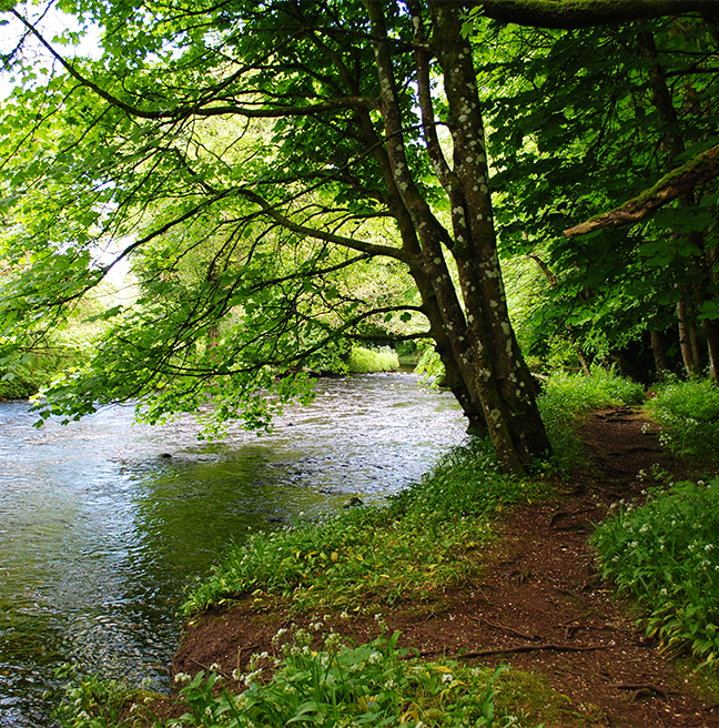 Glenarm