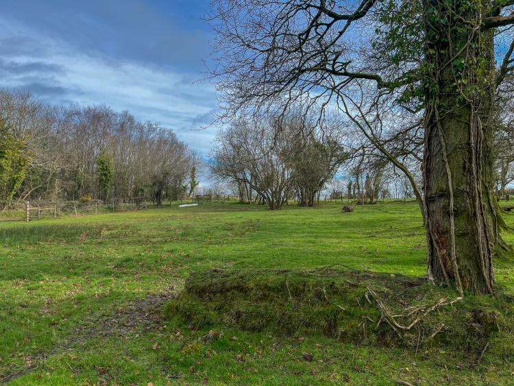 An empty green field.