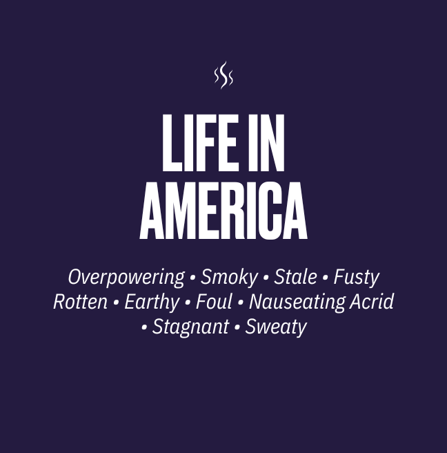 Life in America, living in a tenement smell description