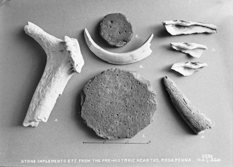 Stone implements from an archaeological dig.