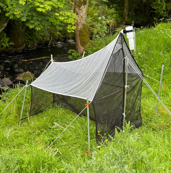 Malaise Trap