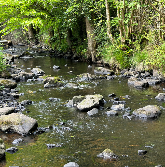 Ballinderry