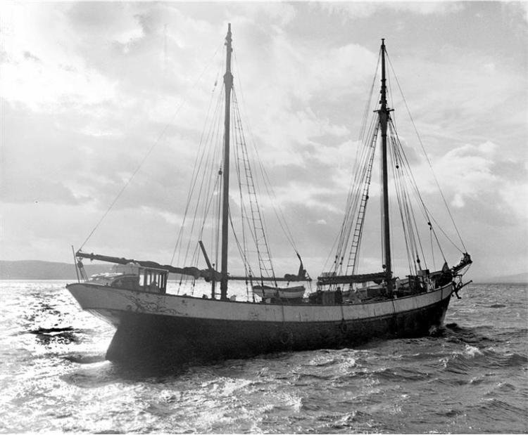 The Result in Belfast Lough, black and white photograph