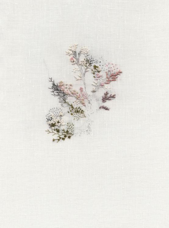 test 2 