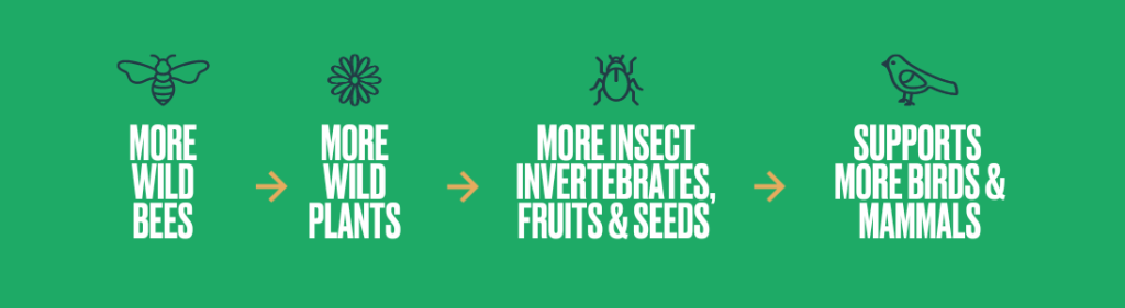 Bee diagram