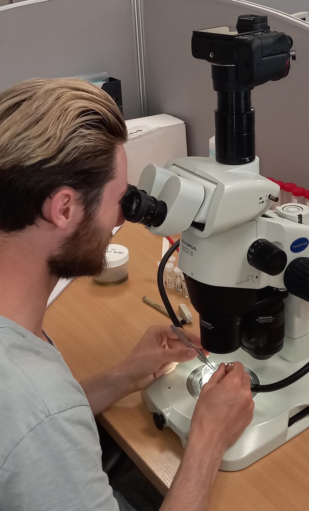 Andrew using the DAERA funded microscope 